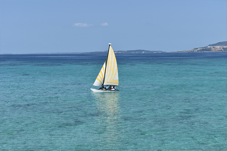 やりがいを感じること